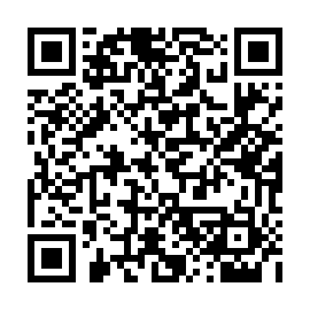 QR code for 489N53