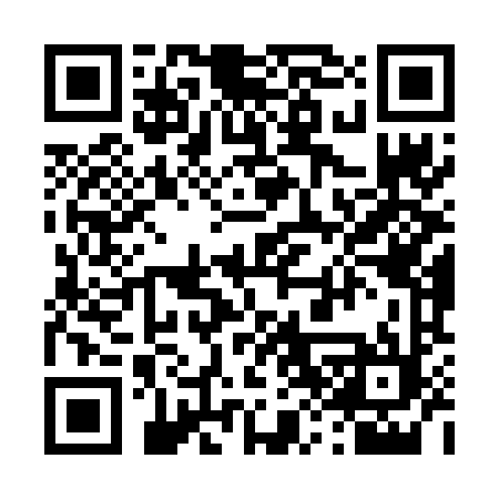 QR code for 489VLM
