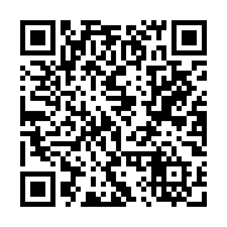 QR code for 490LOD