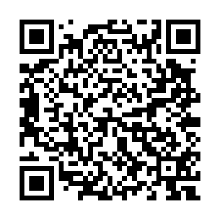 QR code for 490P11