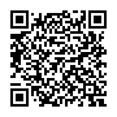 QR code for 491IZH