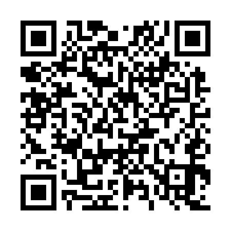 QR code for 491O51
