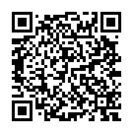 QR code for 491P19