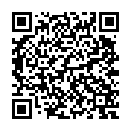 QR code for 491T63