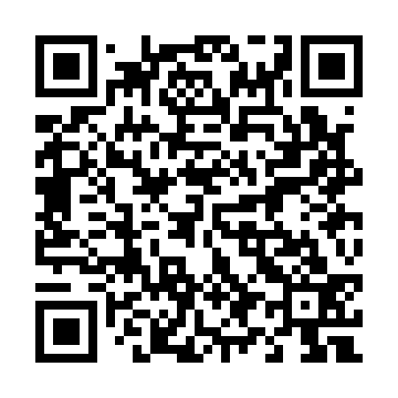 QR code for 493A33