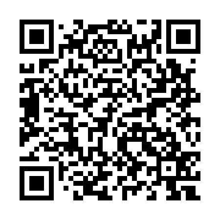 QR code for 493A37
