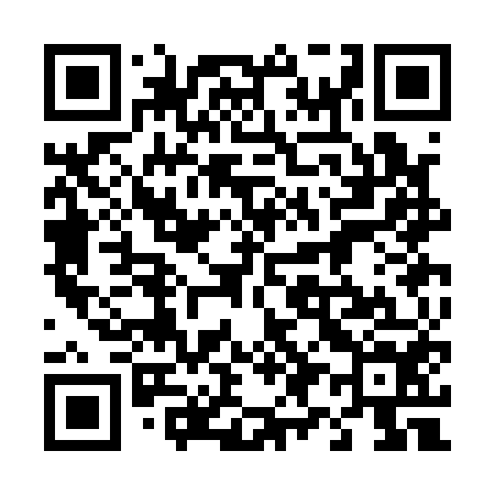 QR code for 493A54