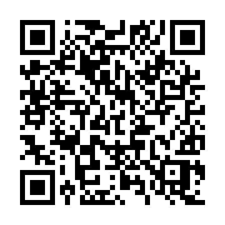 QR code for 493AIR