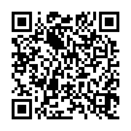 QR code for 493C42