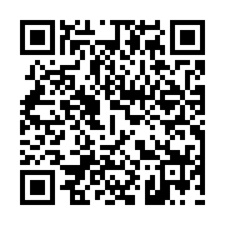 QR code for 493G39