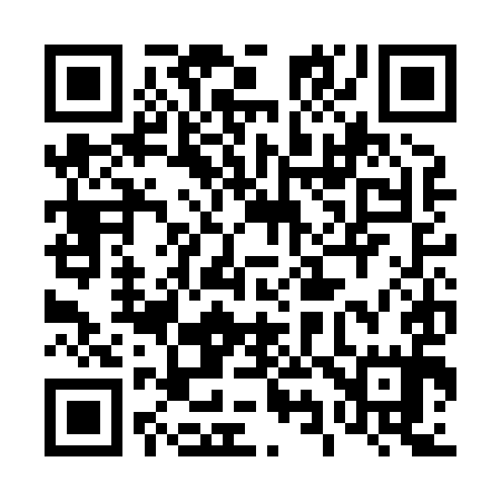 QR code for 493H95