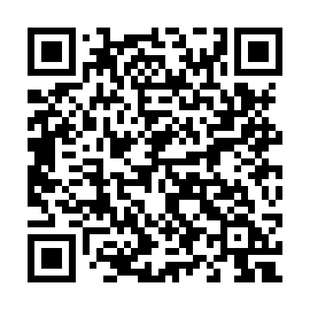 QR code for 493HSF