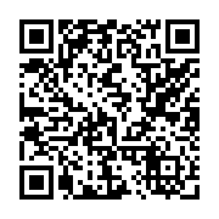 QR code for 493J40