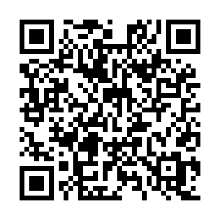 QR code for 493MDM
