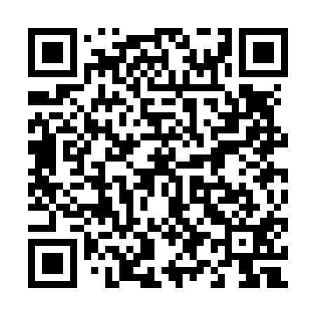 QR code for 493N11