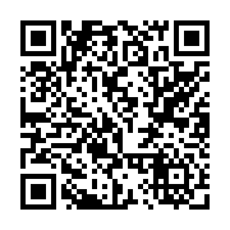 QR code for 493N46
