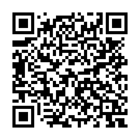 QR code for 493NPP