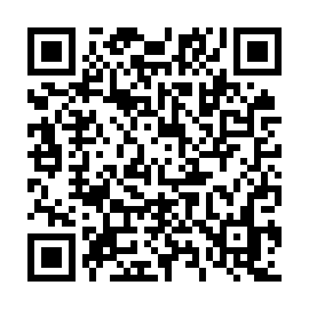 QR code for 493OPN