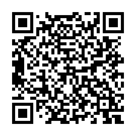 QR code for 493ORZ