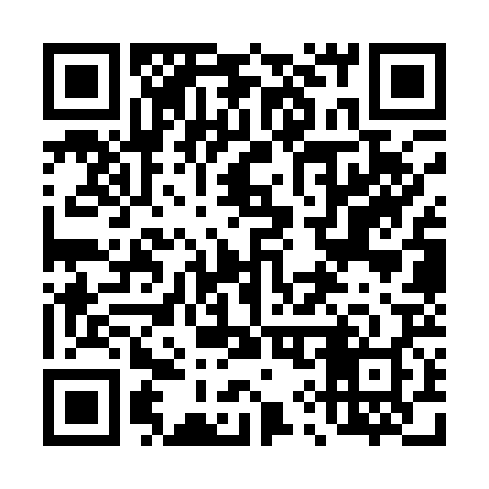 QR code for 493Q28