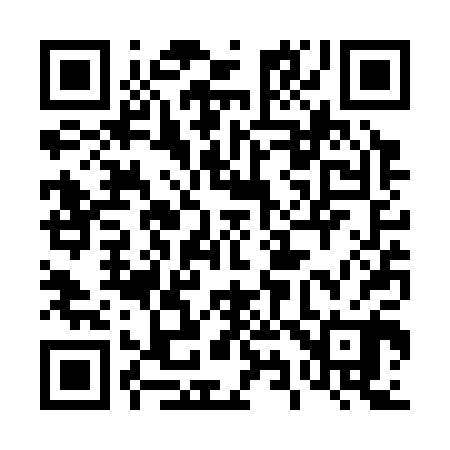 QR code for 493S00