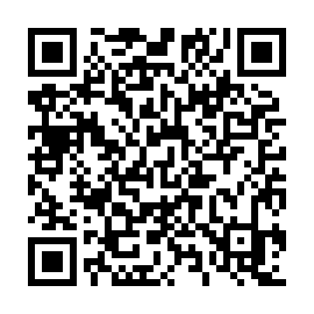 QR code for 493XJK