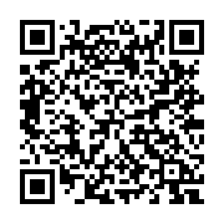 QR code for 493XRA