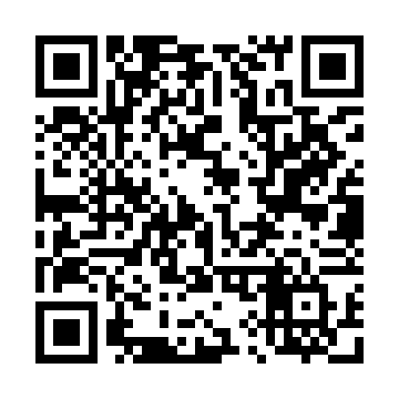QR code for 493YFV