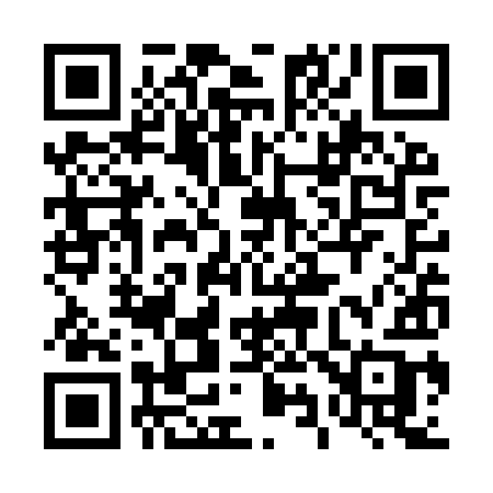 QR code for 493YYB