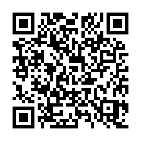 QR code for 493YZS