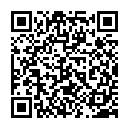 QR code for 493Z51