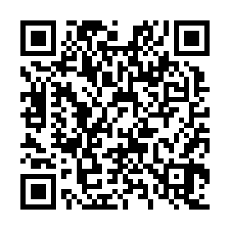 QR code for 493Z62