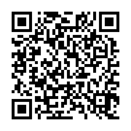 QR code for 494Z07