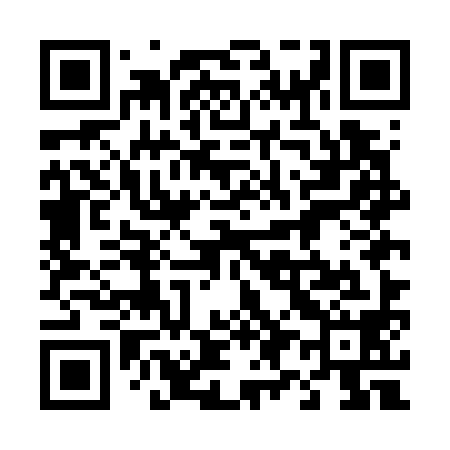 QR code for 495G98