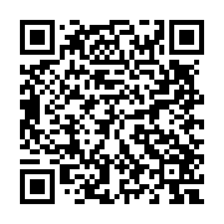 QR code for 495N46