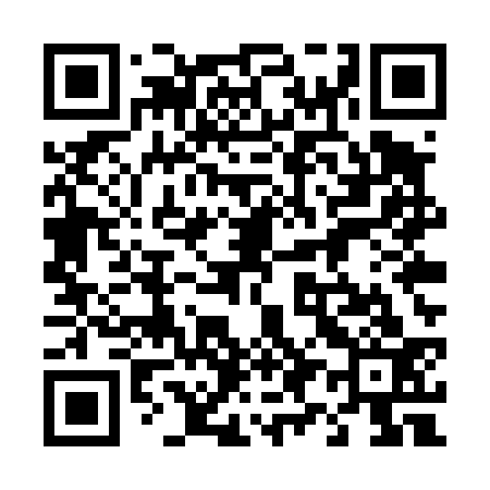 QR code for 495T33