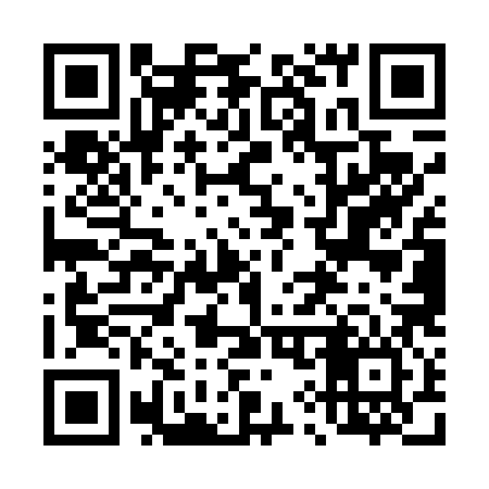 QR code for 495T86