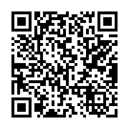 QR code for 495V33