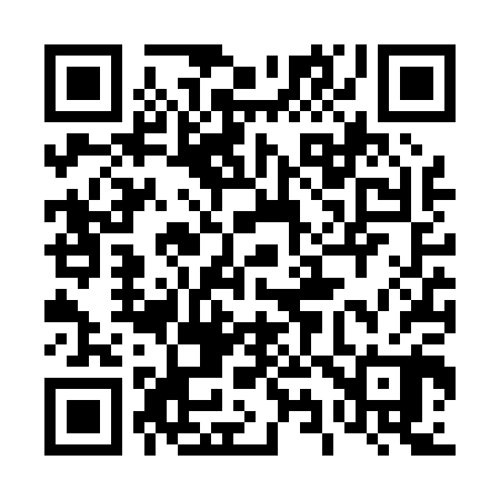 QR code for 496P00