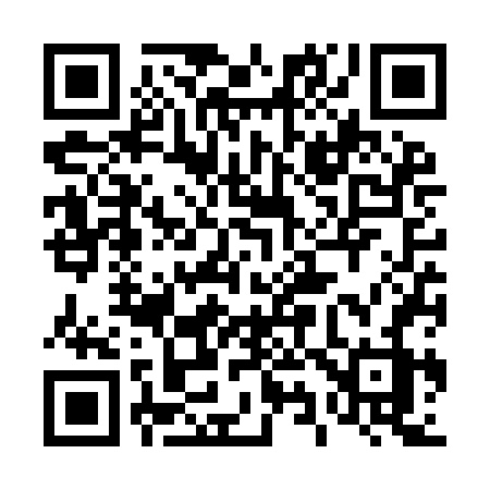 QR code for 496YFZ