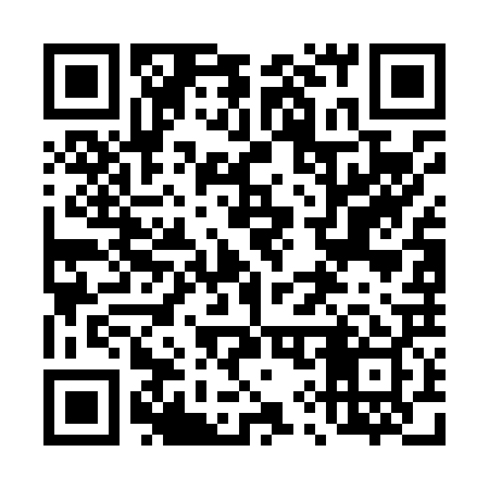 QR code for 497L29
