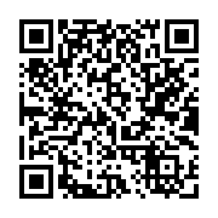 QR code for 498PIS