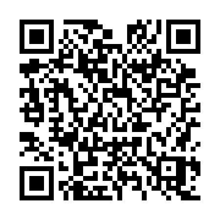 QR code for 498SGP