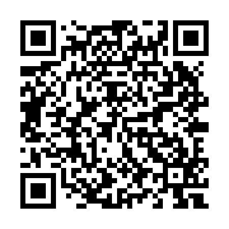 QR code for 498Z97