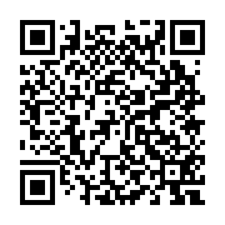 QR code for 49A351