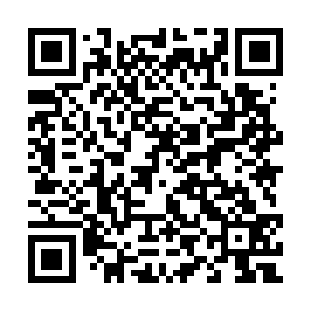 QR code for 49M733