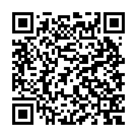 QR code for 49N273