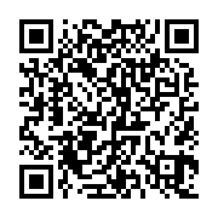 QR code for 49N861