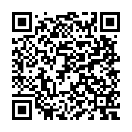 QR code for 49O551