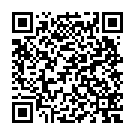 QR code for 49O619
